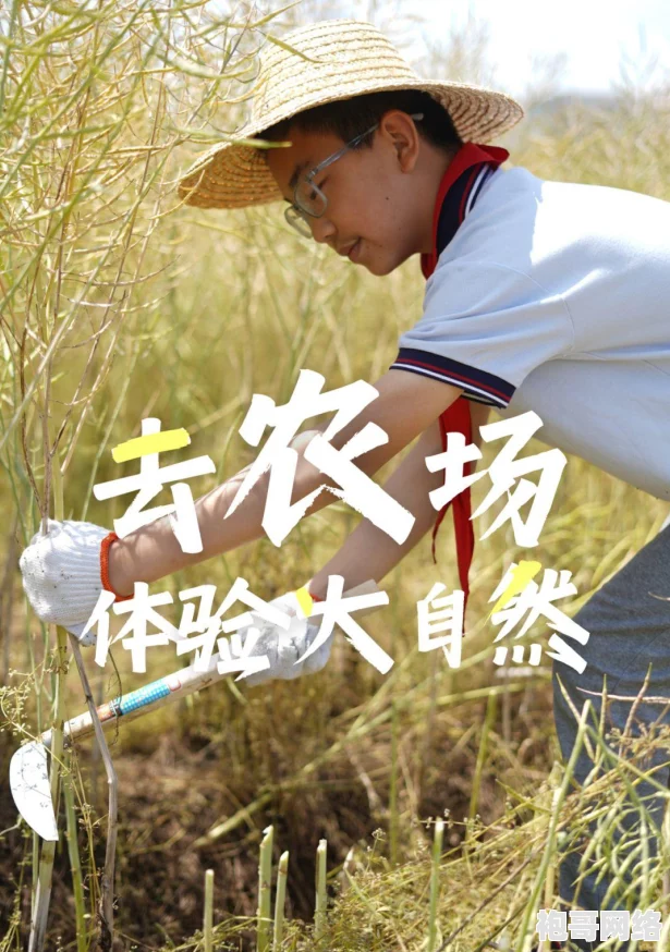 星露谷物语：探索初期，优先升级哪个至关重要的二级设施策略