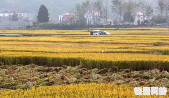 植物大战僵尸杂交版挑战模式37关攻略详解 ｜ 轻松通关秘籍