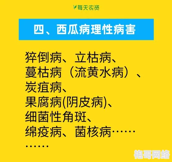 2025年热门指南：恐鬼症新手入门攻略，玩转Phasmophobia最新玩法技巧