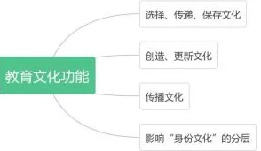 2025年热门AOE网络用语解析：探索最新流行语与文化趋势